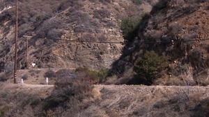 Brazzers: Krissy Lynn blowjob XXX video